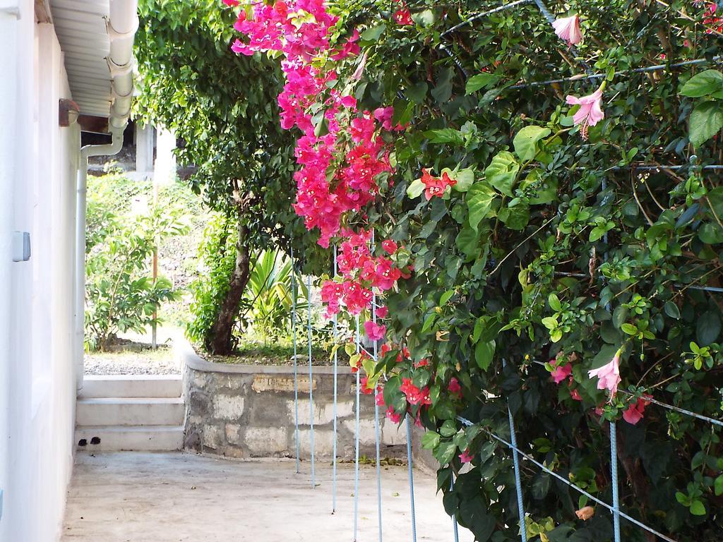 Le Paradiso Apartments Bambou Екстериор снимка